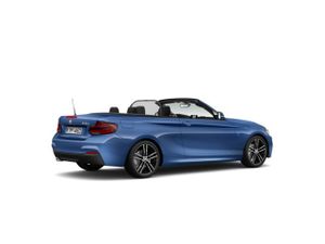 BMW Serie 2 218d cabrio 110 kw (150 cv)  2020 Diésel - Foto 15