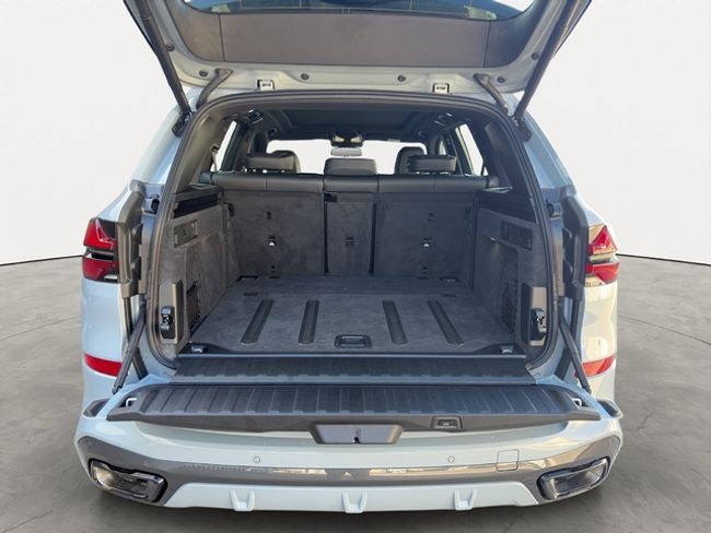 BMW X5 xdrive30d 219 kw (298 cv)