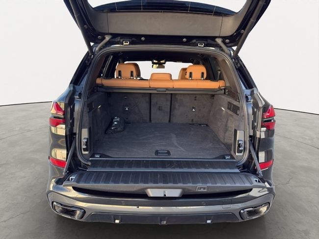 BMW X5 xdrive30d xline 219 kw (298 cv)
