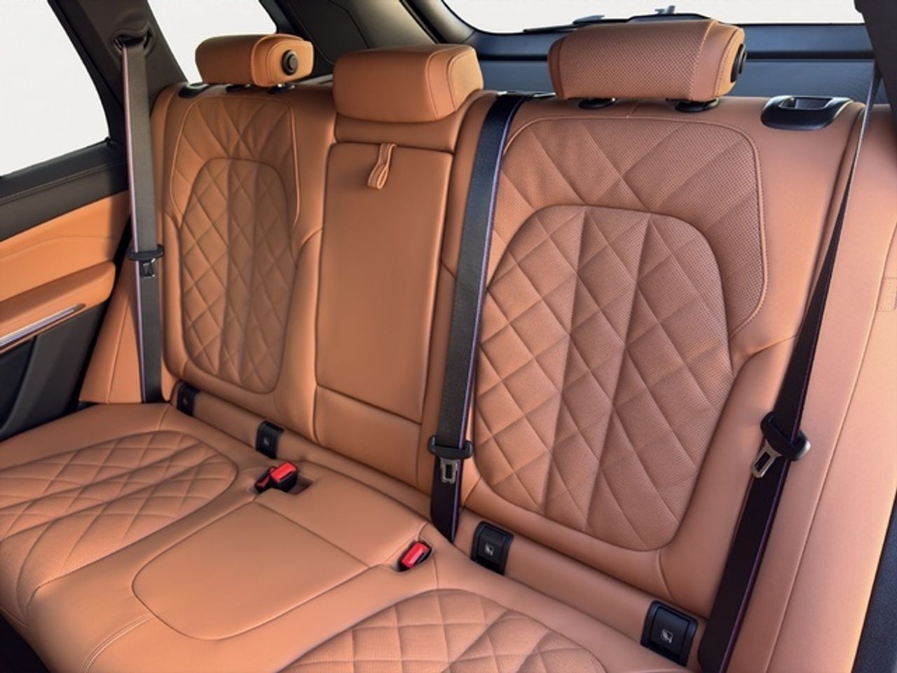 BMW X5 xdrive30d xline 219 kw (298 cv)  2025 Diésel - Foto 10