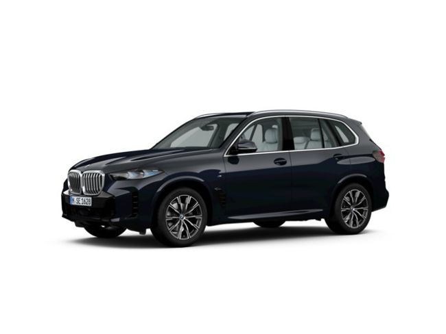 BMW X5 xdrive30d xline 219 kw (298 cv)