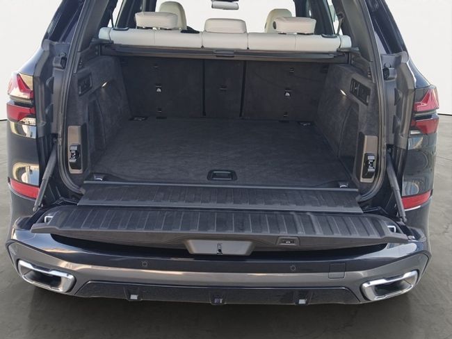BMW X5 xdrive30d xline 219 kw (298 cv)