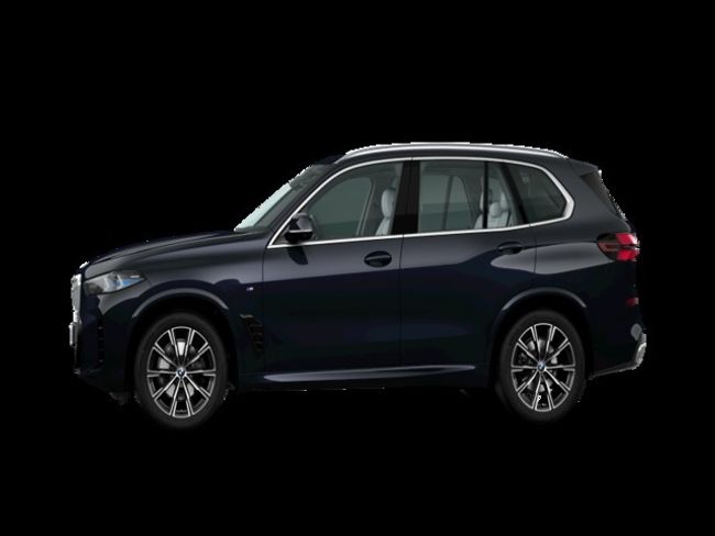 BMW X5 xdrive30d xline 219 kw (298 cv)