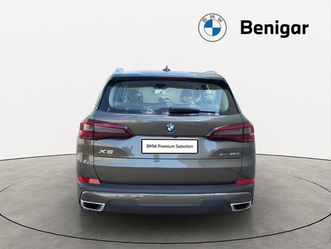 BMW X5 xdrive25d 170 kw (231 cv)