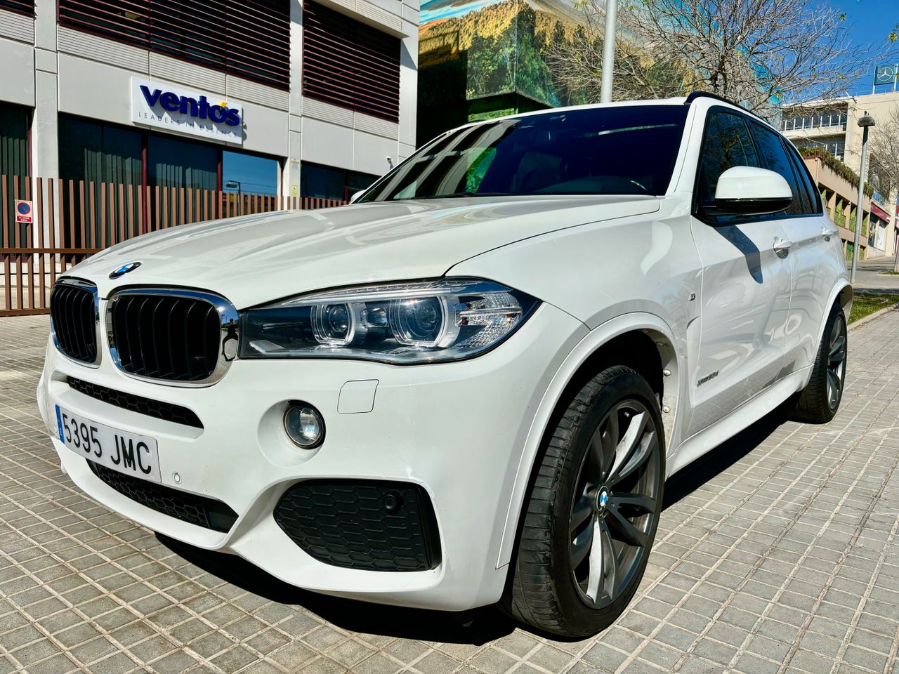 BMW X5 3.0D XDrive 258cv. Pack M, Techo panorámico…   - Foto 1