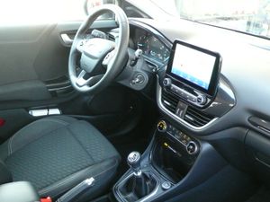 Ford Puma 1.5 Ecoblue 120cv Titanium   - Foto 14