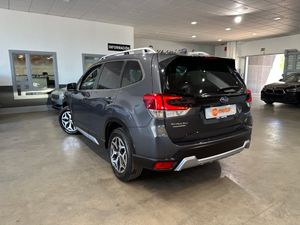Subaru Forester 2.0HEV 150CV EXECUTIVE PLUS - Foto 5
