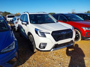 Subaru Forester 2.0HEV 150CV EXECUTIVE PLUS - Foto 2