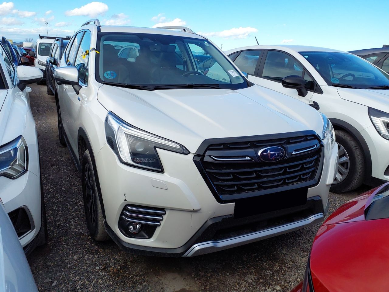 Subaru Forester 2.0HEV 150CV EXECUTIVE PLUS - Foto 1