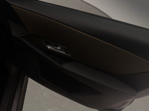 DS DS 7 BlueHDi DE 96kW (130CV) Auto. CHIC CROSSBACK  - Foto 17