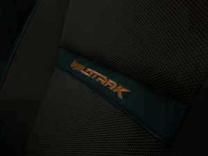 Ford Ranger WildTrack  - Foto 28