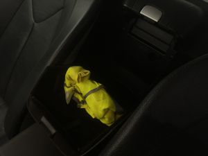 Mercedes Clase SLK 200  - Foto 34