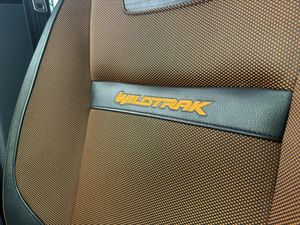 Ford Ranger 3.2 TDCi Wildtrak 4x4 Auto 200CV  - Foto 32