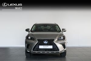 Lexus NX 300H EXECUTIVE NAVI   - Foto 3
