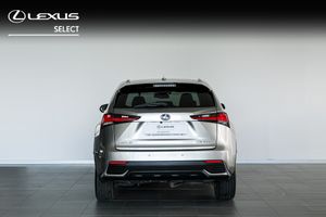 Lexus NX 300H EXECUTIVE NAVI   - Foto 6