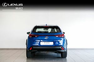 Lexus UX 250H PREMIUM  - Foto 6