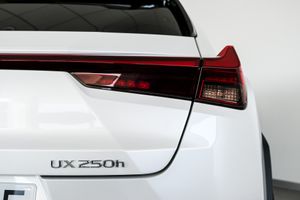 Lexus UX 250H PREMIUM   - Foto 5
