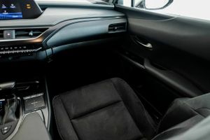 Lexus UX 250H BUSINESS  - Foto 15
