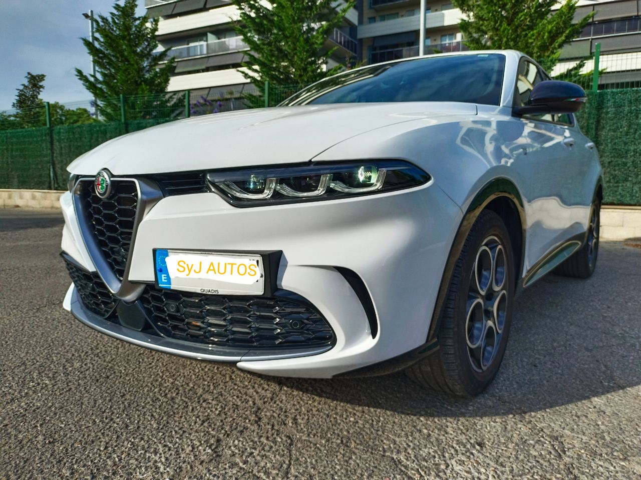Alfa Romeo Tonale 1.6 DS 130 CV TI FWD Gerencia   - Foto 1