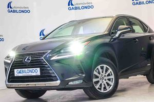 Lexus NX 2.5 300h Business 2WD - Foto 23