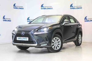 Lexus NX 2.5 300h Business 2WD - Foto 9