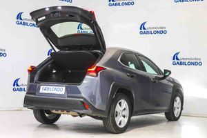 Lexus UX 2.0 250h Business - Foto 16