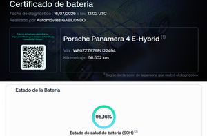 Porsche Panamera 4 E-Hybrid Platinum Edition **Techo panorámico** - Foto 10