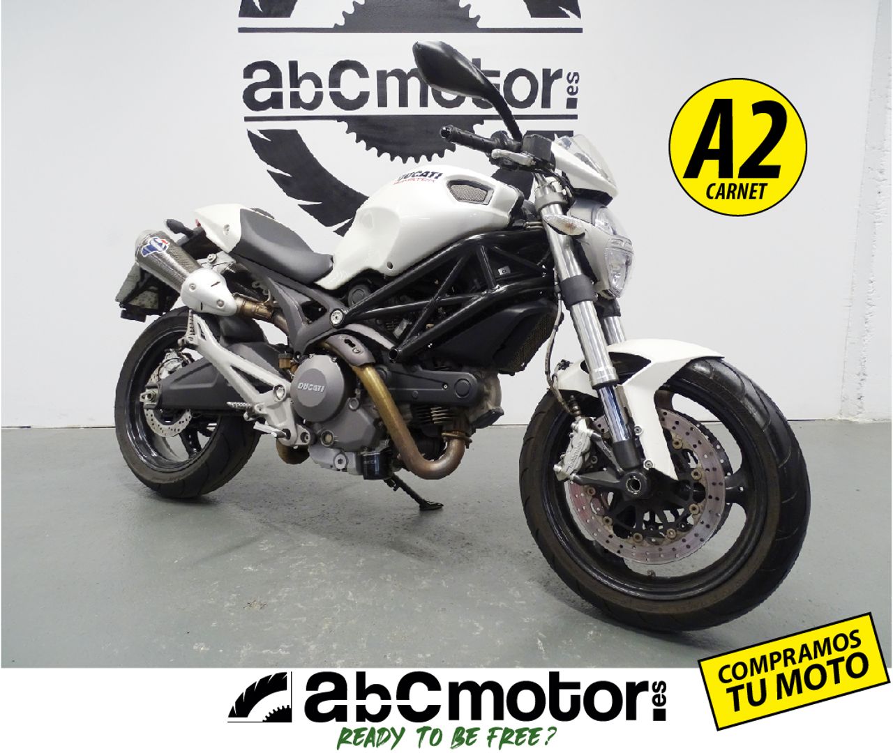 Ducati Monster 696 + ABS A2  - Foto 1