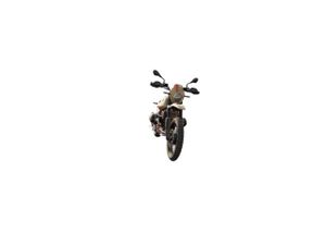 BMW R 1200 GS   Gasolina - Foto 9